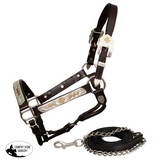 leather full horse size show halter with lead. - Country Scene Saddlery and Pet Supplies