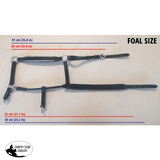 Leather Halter - Brass Fittings with Engraved Horse Nameplate - Foal / Black / Near Side Only - Hamag™ Leather Saddle