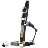New! Leather Halter - Brass Fittings With Engraved Horse Nameplate Hamag Saddle Cloth Number Holders