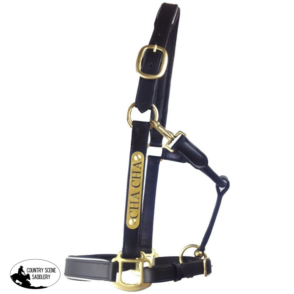 New! Leather Halter - Brass Fittings With Engraved Horse Nameplate Hamag Saddle Cloth Number Holders