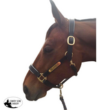 Leather Halter - Brass Fittings with Engraved Horse Nameplate - Country Scene Saddlery and Pet Supplies