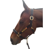 Leather Halter - Brass Fittings with Engraved Horse Nameplate - Hamag™ Leather Saddle Cloth Number Holders (Pair)