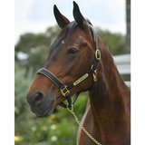 Leather Halter - Brass Fittings with Engraved Horse Nameplate - Hamag™ Leather Saddle Cloth Number Holders (Pair)
