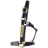 Leather Halter - Brass Fittings with Engraved Horse Nameplate - Country Scene Saddlery and Pet Supplies
