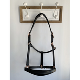 Leather Halter - Rose Gold Fittings with Engraved Horse Nameplate - Country Scene Saddlery and Pet Supplies