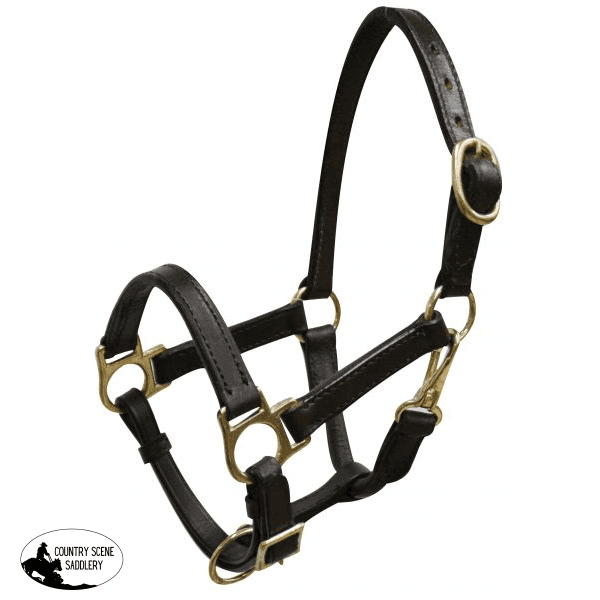 Mini Size Leather Halter With Brass Hardware. Horse Halters