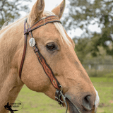 NEW! MONTANA BROWBAND HEADSTALL - Country Scene Saddlery and Pet Supplies