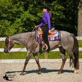Nancy Show Pad - Country Scene Saddlery and Pet Supplies