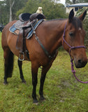 CSS Chocolate with turquoise bling detail and tooling. - Country Scene Saddlery and Pet Supplies