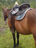 CSS Chocolate with turquoise bling detail and tooling. - Country Scene Saddlery and Pet Supplies