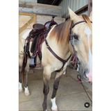 New! 1559 Flex2 Stallion Trail Western Saddles