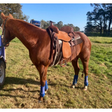 Double S 2 Tone Combination Ranch Saddle, Cutter. 6.5 inch wide - Country Scene Saddlery and Pet Supplies