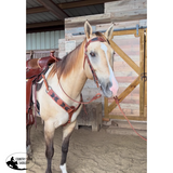 New! 2385 River Valley Trail - Country Scene Saddlery and Pet Supplies