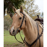 New! 2611 Bluestem Trail Saddle by Circle Y. ALL Round Saddle