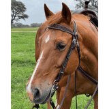 2611 Bluestem Trail Saddle By Circle Y. All Round