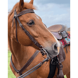 2611 Bluestem Trail Saddle By Circle Y. All Round