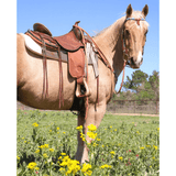 2612 Brazos Wood Tree Trail Saddle Western Saddle