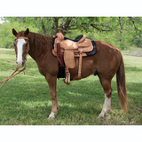 New! 2778 GUTHRIE SELECT ROPER - Country Scene Saddlery and Pet Supplies