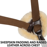 New 5 Point Breastplate with Sheepskin – Havana Leather - Training aids