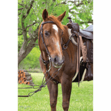 5/8” Floral Tooled Browband Headstall - Country Scene Saddlery and Pet Supplies