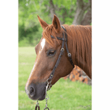 5/8” Floral Tooled Browband Headstall - Country Scene Saddlery and Pet Supplies