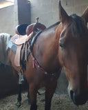 6212 PROVEN LIBERTY BARREL SADDLE - Country Scene Saddlery and Pet Supplies
