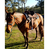 New! 6228 LINDALE BARREL - Country Scene Saddlery and Pet Supplies