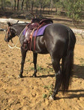 New! 6808 OYSTER CREEK TRAIL - Country Scene Saddlery and Pet Supplies