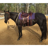 New! 6808 OYSTER CREEK TRAIL - Country Scene Saddlery and Pet Supplies