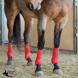 New! Apex Sport Boots- Plain Colours - Country Scene Saddlery and Pet Supplies