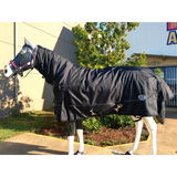 New! Arctic Combo Black Horse Blankets & Sheets