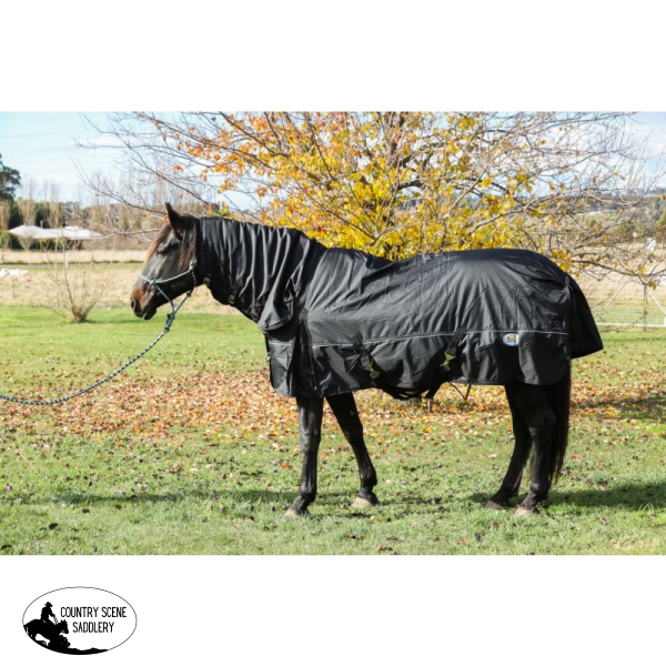 New! Arctic Combo Black Horse Blankets & Sheets
