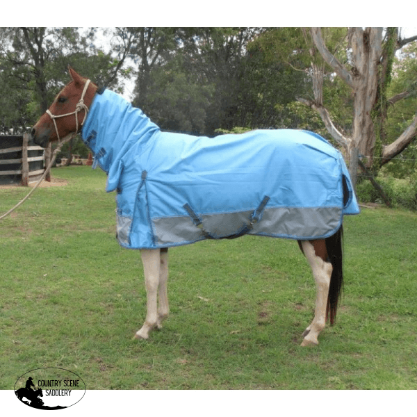 New! Arctic Combo Navy Or Blue Horse Blankets & Sheets