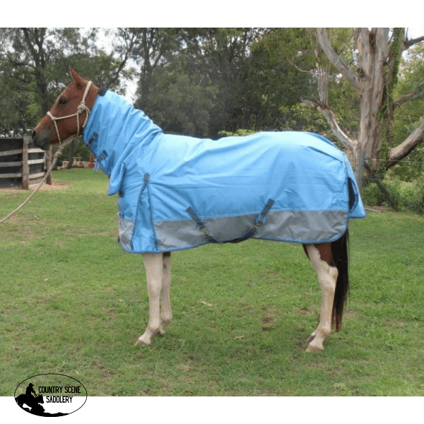 New! Arctic Combo Navy Or Blue Horse Blankets & Sheets