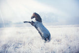 Arctic Rug - Country Scene Saddlery and Pet Supplies