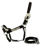 NEW! Irredescent and blue stone Showman show halter. - Country Scene Saddlery and Pet Supplies