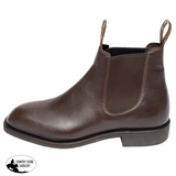 New! Avon Kangaroo Chocolate - Country Scene Saddlery and Pet Supplies