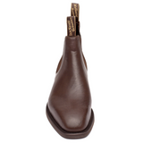 New! Avon Kangaroo Chocolate - Country Scene Saddlery and Pet Supplies