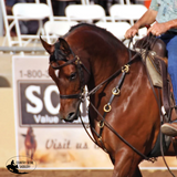 New! Billy Royal® 10 Ring Training Martingale - Training aids