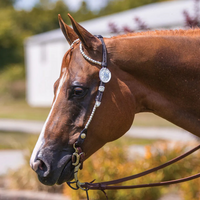 Billy Royal® Bainbridge Classic Two Ear Headstall Billy-Royal-Bainbridge-Classic-Two-Ear-Headstall/