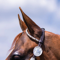 Billy Royal® Bainbridge Classic Two Ear Headstall Billy-Royal-Bainbridge-Classic-Two-Ear-Headstall/