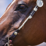 NEW! Billy Royal® Bainbridge Classic Two Ear Headstall - Country Scene Saddlery and Pet Supplies