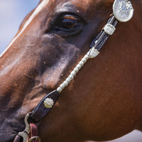 Billy Royal® Bainbridge Classic Two Ear Headstall Billy-Royal-Bainbridge-Classic-Two-Ear-Headstall/