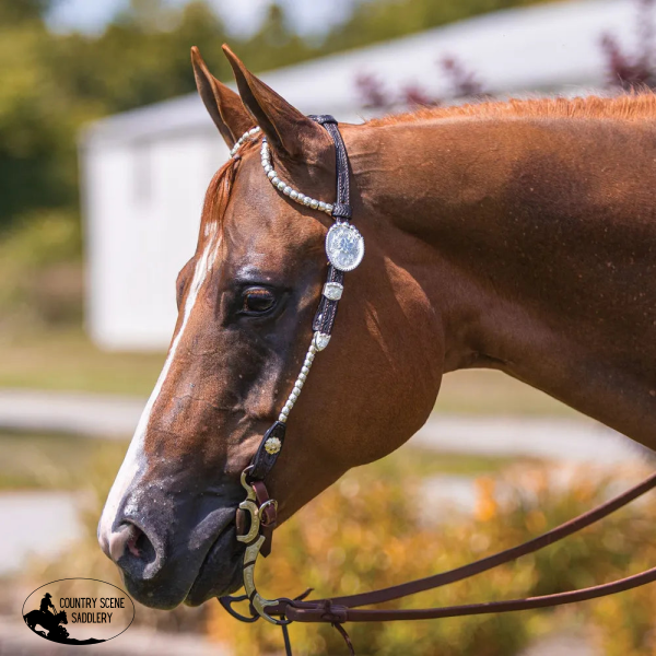 Billy Royal® Bainbridge Classic Two Ear Headstall Billy-Royal-Bainbridge-Classic-Two-Ear-Headstall/