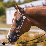 New! Billy Royal® Bainbridge Classic Two Ear Silver Show Headstall II
