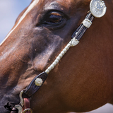 New! Billy Royal® Bainbridge Classic Two Ear Silver Show Headstall II