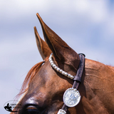 New! Billy Royal® Bainbridge Classic Two Ear Silver Show Headstall II