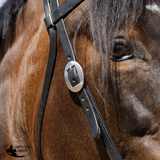 New! Billy Royal® Black Leather Browband Headstall - Country Scene Saddlery and Pet Supplies