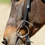 New! Billy Royal® Black Leather Browband Headstall - Country Scene Saddlery and Pet Supplies