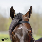 New! Billy Royal® Black Leather Browband Headstall - Country Scene Saddlery and Pet Supplies